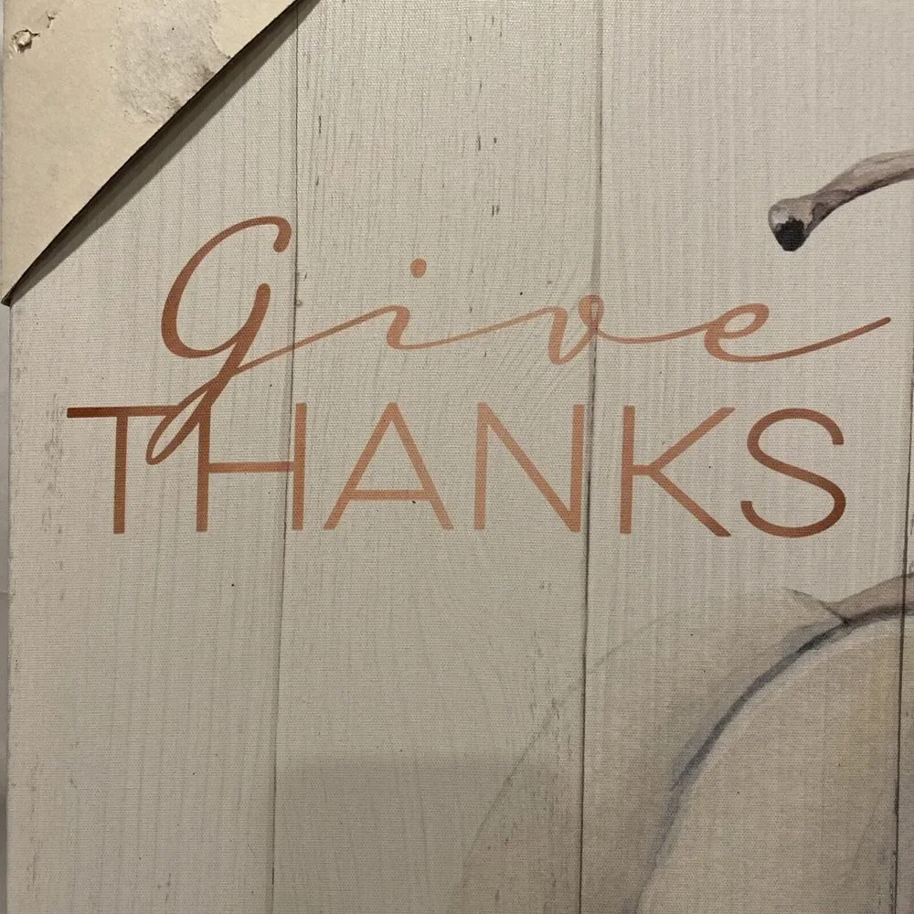 New Farmhouse Give Thanks White Pumpkin PICTURE Wall Hanging‎